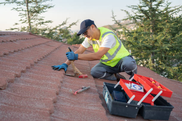 Best Emergency Roof Repair Services  in Shil, OH